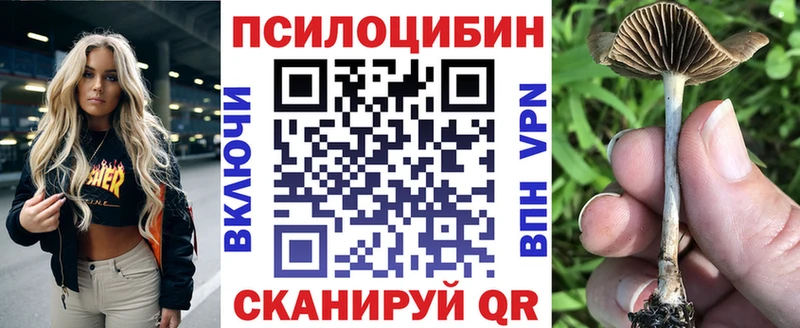 Псилоцибиновые грибы Psilocybine cubensis  Ряжск 
